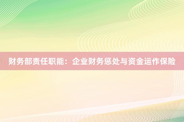 财务部责任职能：企业财务惩处与资金运作保险