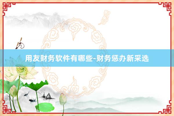 用友财务软件有哪些-财务惩办新采选