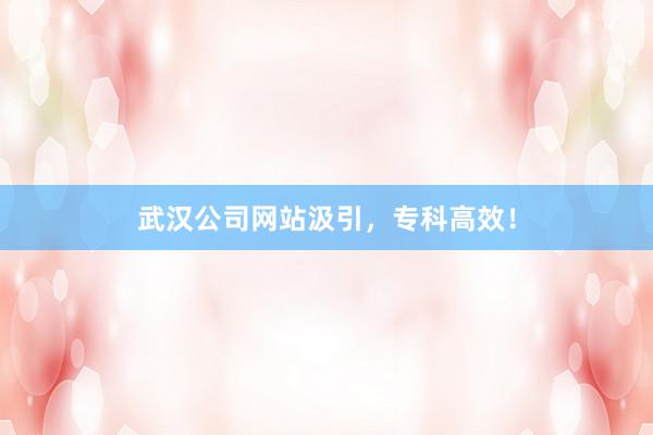 武汉公司网站汲引，专科高效！