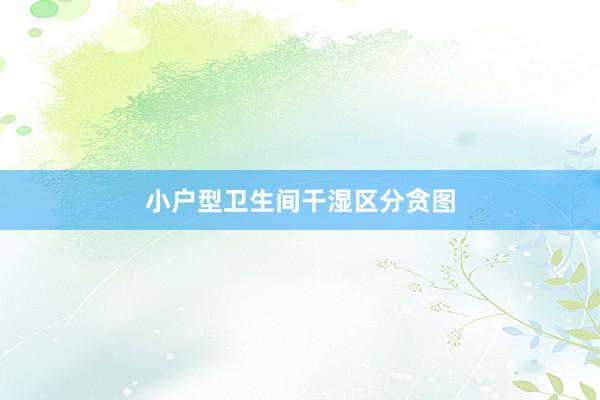 小户型卫生间干湿区分贪图