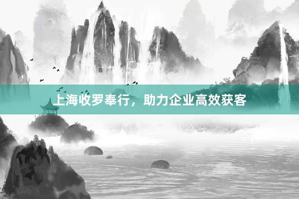上海收罗奉行，助力企业高效获客